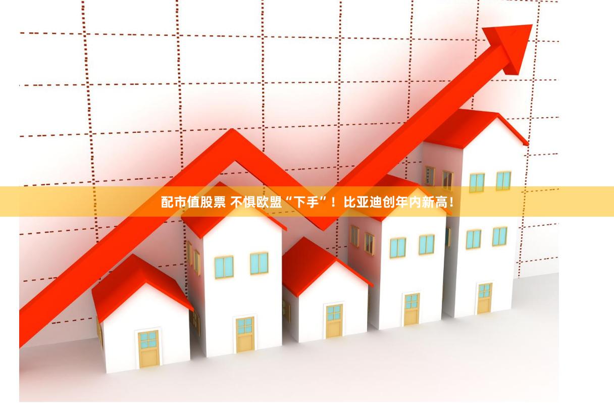 配市值股票 不惧欧盟“下手”！比亚迪创年内新高！