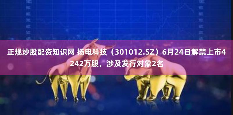 正规炒股配资知识网 扬电科技（301012.SZ）6月24日解禁上市4242万股，涉及发行对象2名