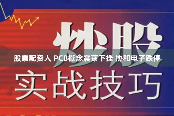 股票配资人 PCB概念震荡下挫 协和电子跌停