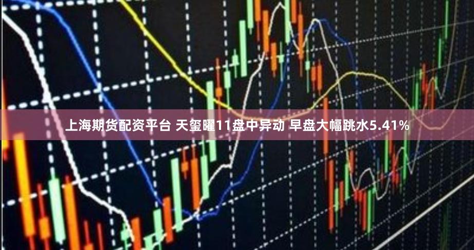上海期货配资平台 天玺曜11盘中异动 早盘大幅跳水5.41%