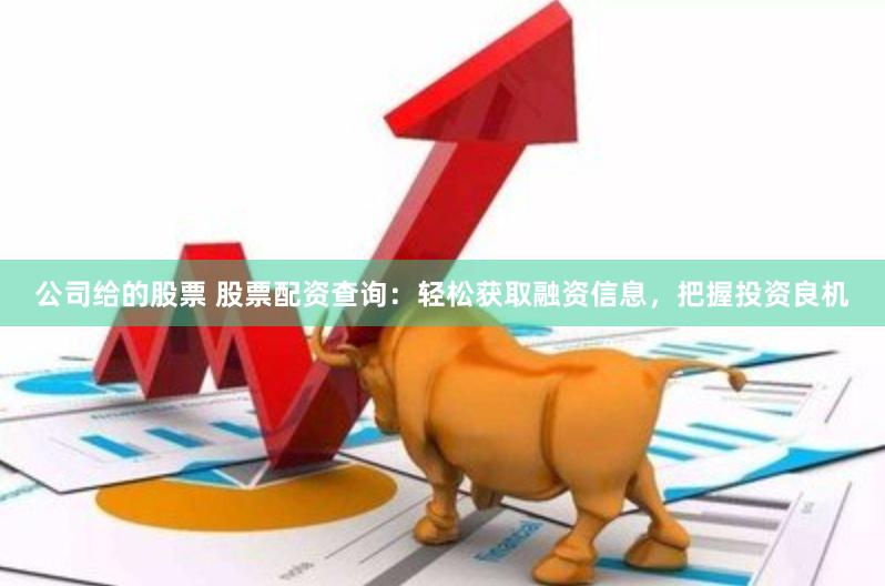 公司给的股票 股票配资查询：轻松获取融资信息，把握投资良机